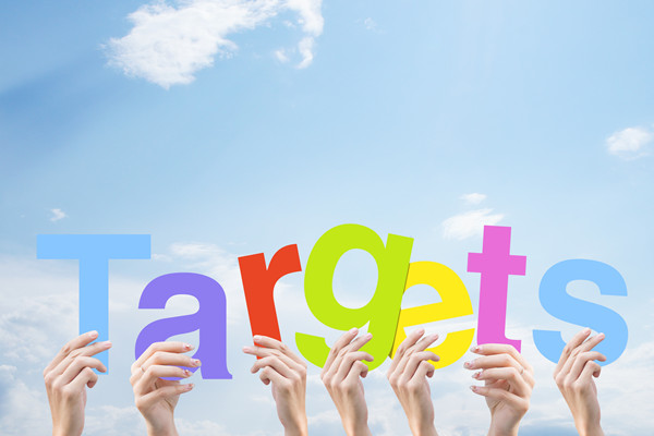 構(gòu)建科學(xué)績效管理體系，提升組織整體績效水平