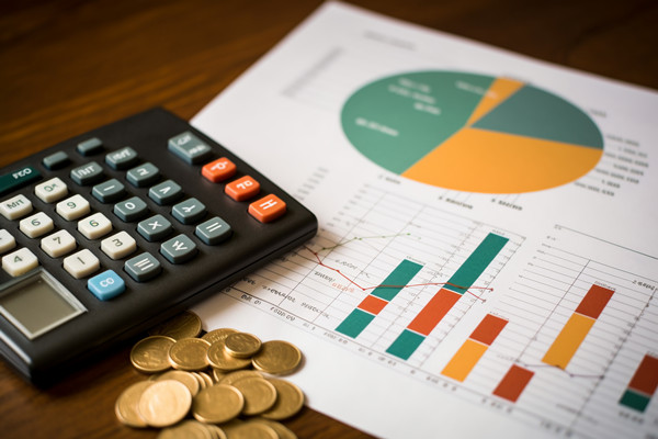 強(qiáng)化集團(tuán)管控：財(cái)務(wù)，人力資源，信息技術(shù)的整合