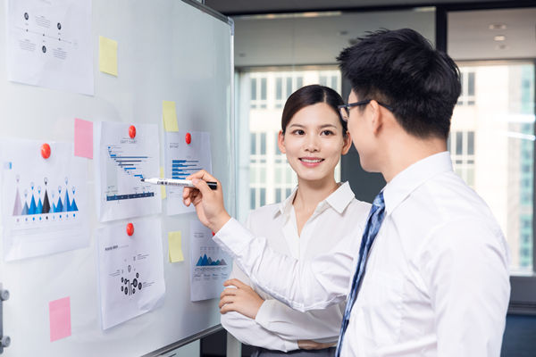 組織咨詢：協(xié)助企業(yè)制定組織發(fā)展戰(zhàn)略，推動(dòng)組織成長(zhǎng)