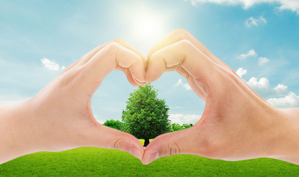 年度可持續(xù)發(fā)展計(jì)劃：綠色發(fā)展，共享價(jià)值