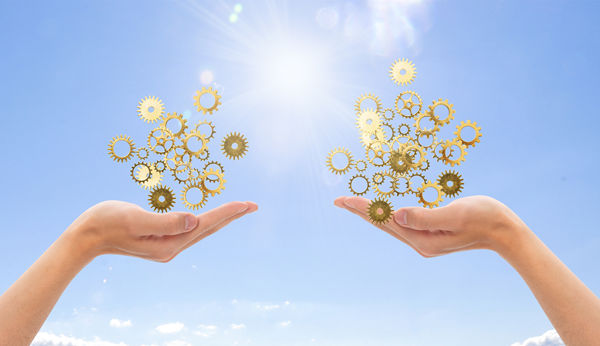 多品牌戰(zhàn)略：協(xié)同作戰(zhàn)，共創(chuàng)輝煌