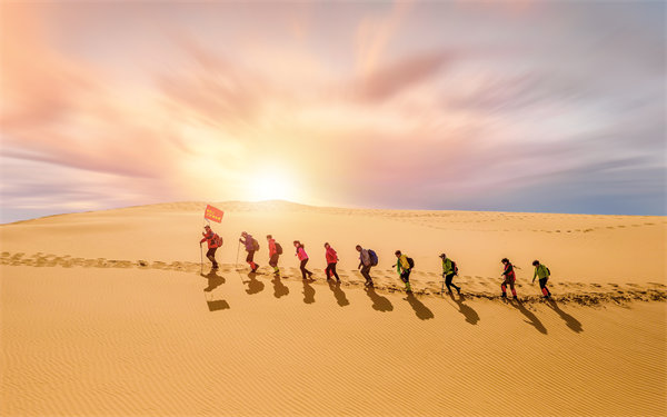 風險防范：構(gòu)建全面風險管理體系，保障企業(yè)穩(wěn)健發(fā)展