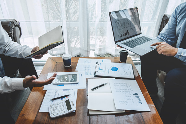 立足戰(zhàn)略大局，提供專業(yè)咨詢，助力企業(yè)騰飛