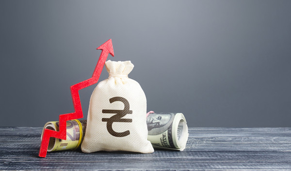 預(yù)算管理中的風(fēng)險(xiǎn)評(píng)估與應(yīng)對(duì)策略有哪些？