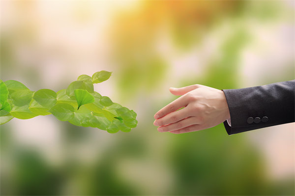 可持續(xù)發(fā)展成為趨勢，企業(yè)如何融入綠色戰(zhàn)略以促增長？