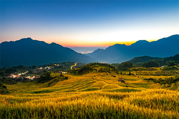 定制化管理咨詢方案：麗水企業(yè)轉(zhuǎn)型升級(jí)的鑰匙？