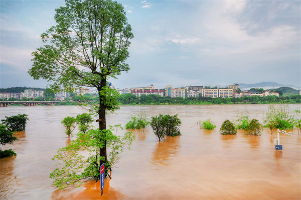 供應(yīng)鏈韌性建設(shè)：面對自然災(zāi)害的應(yīng)急計(jì)劃與恢復(fù)力？