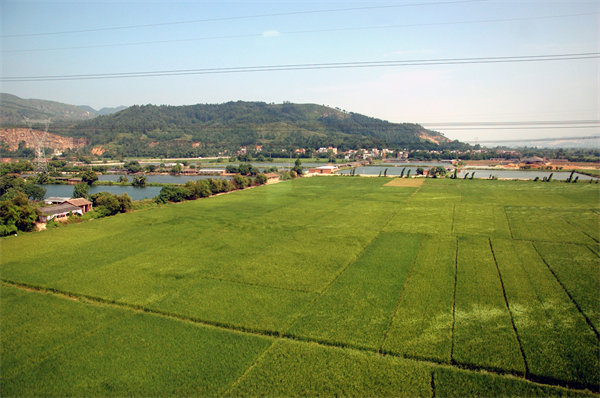 清遠(yuǎn)營銷咨詢公司如何精準(zhǔn)定位企業(yè)目標(biāo)市場？