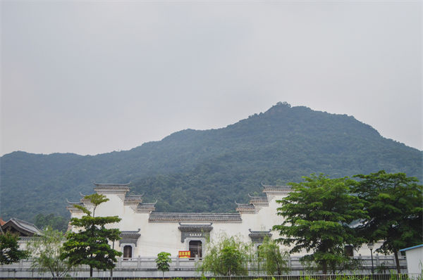 佛山組織規(guī)劃咨詢公司如何優(yōu)化企業(yè)人才梯隊建設(shè)？