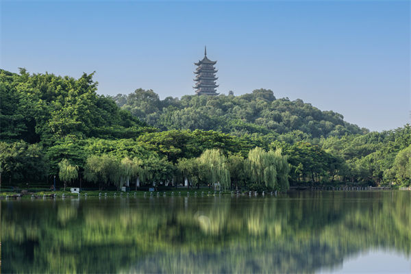 如何評估佛山集團管控咨詢公司的服務(wù)質(zhì)量和效果？