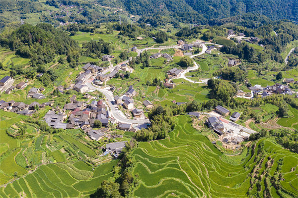 企業(yè)薪酬激勵乏力，麗水薪酬咨詢公司如何激發(fā)員工積極性？