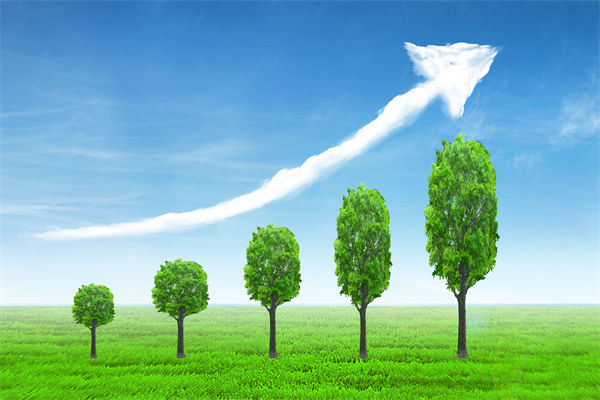 植樹(shù)就是植未來(lái)，對(duì)企業(yè)的戰(zhàn)略規(guī)劃有哪些啟示？