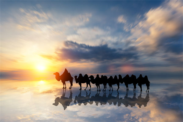 戰(zhàn)略與文化脫節(jié)，企業(yè)理念如何落地支撐發(fā)展？