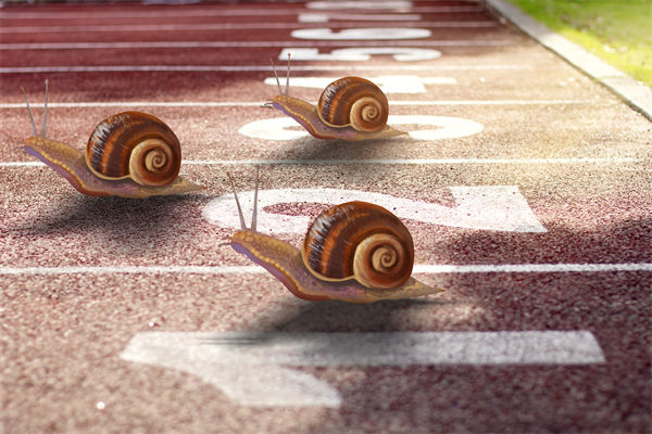 新業(yè)務拓展艱難，年度經(jīng)營計劃為其定制專屬發(fā)展路徑