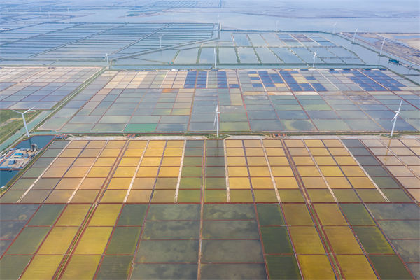 濰坊制造業(yè)招工難留人更難，濰坊人力資源咨詢(xún)公司如何破局用工困局？