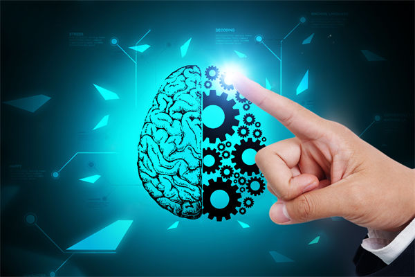 人力資源管理流程規(guī)范嚴(yán)謹(jǐn)，員工創(chuàng)造力為何反而受抑制？