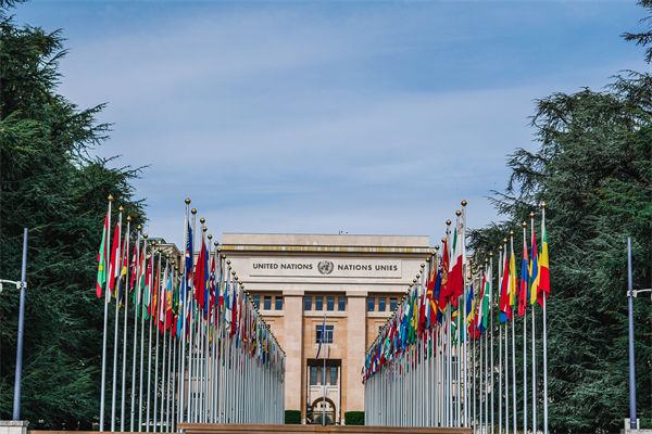 英法等25國(guó)發(fā)表聯(lián)合聲明，企業(yè)組織規(guī)劃有何啟示？