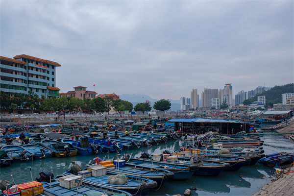 精益生產(chǎn)分析：開(kāi)海第一網(wǎng)撈8000斤，船長(zhǎng)合不攏嘴