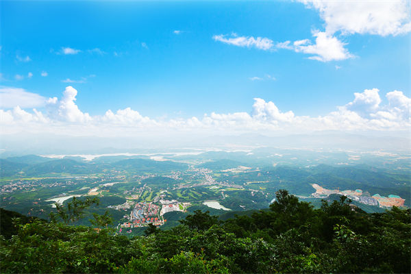 企業(yè)戰(zhàn)略飄在半空落地難，惠州戰(zhàn)略咨詢公司能錨定方向嗎？