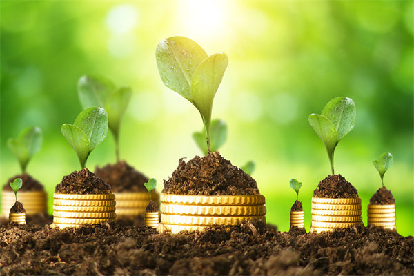 預(yù)算管理咨詢公司如何幫助企業(yè)破解資金錯配問題？