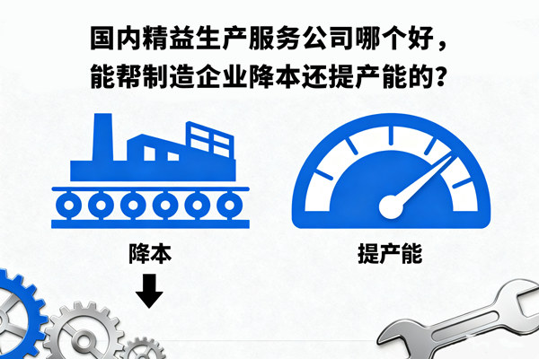 國(guó)內(nèi)精益生產(chǎn)服務(wù)公司哪個(gè)好，能幫制造企業(yè)降本還提產(chǎn)能的？