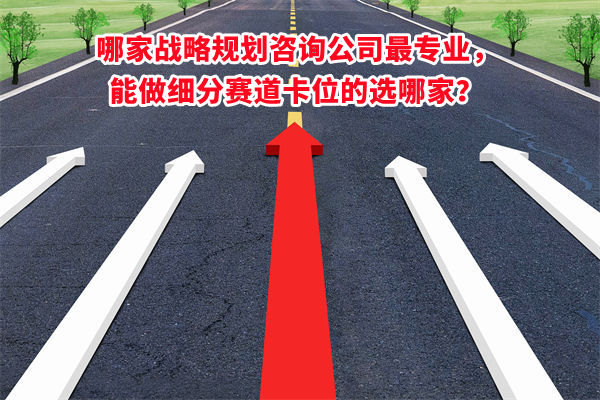 哪家戰(zhàn)略規(guī)劃咨詢公司最專業(yè)，能做細分賽道卡位的選哪家？