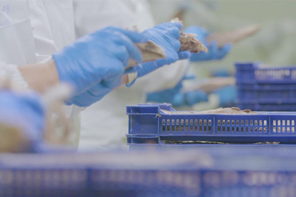 本土駐廠精益生產(chǎn)咨詢哪家強(qiáng)，能快速提升產(chǎn)線流轉(zhuǎn)效率么？